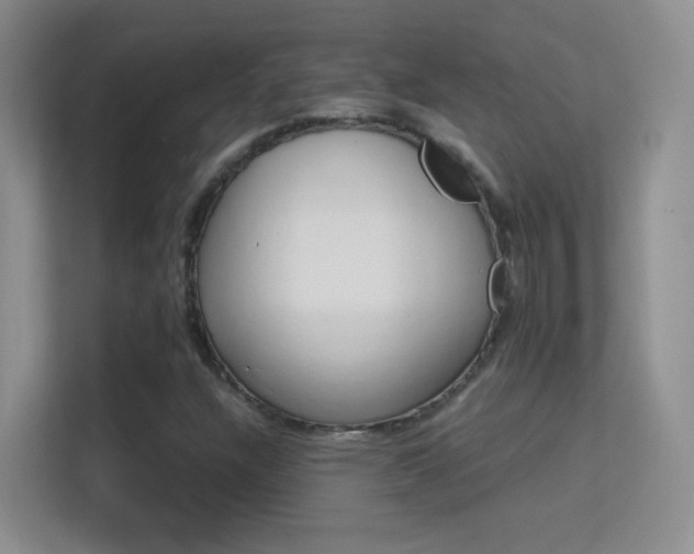 X0000113581304200909251147