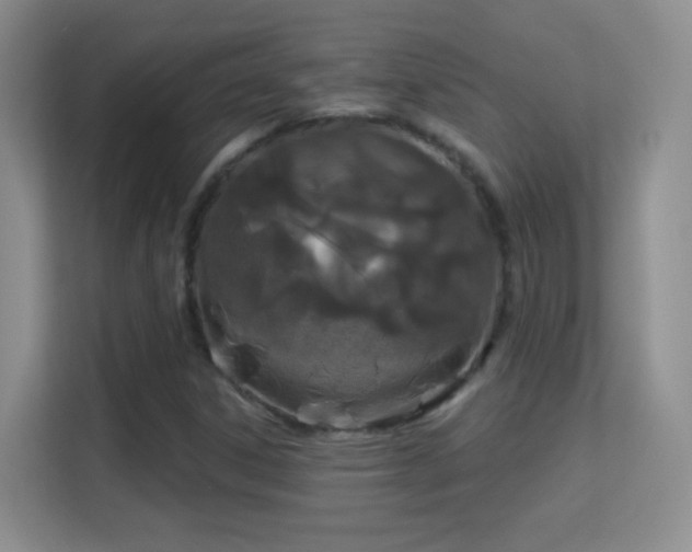 X0000113581306200909251147