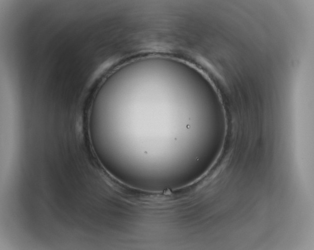 X0000113581307200909251147