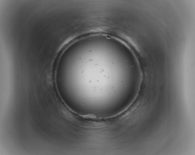 X0000113581308200909251147