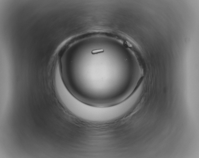 X0000113581310200909251147