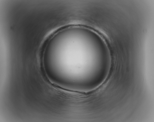 X0000113581311200909251147