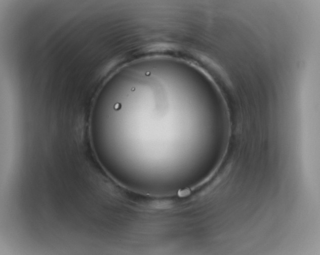 X0000113581313200909251147