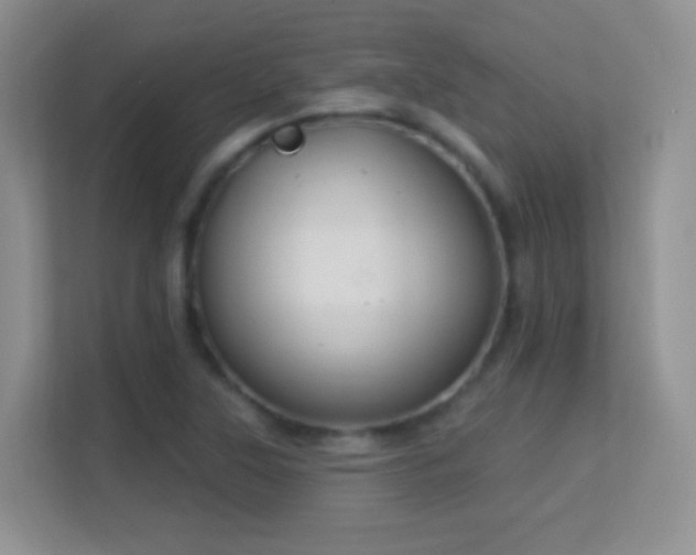 X0000113581315200909251147