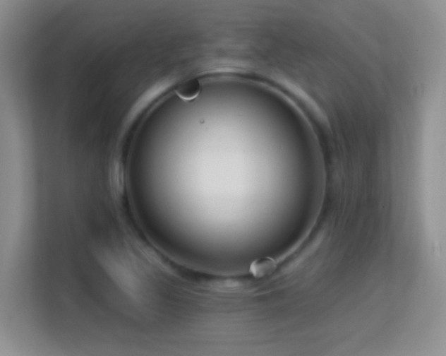 X0000113581317200909251147