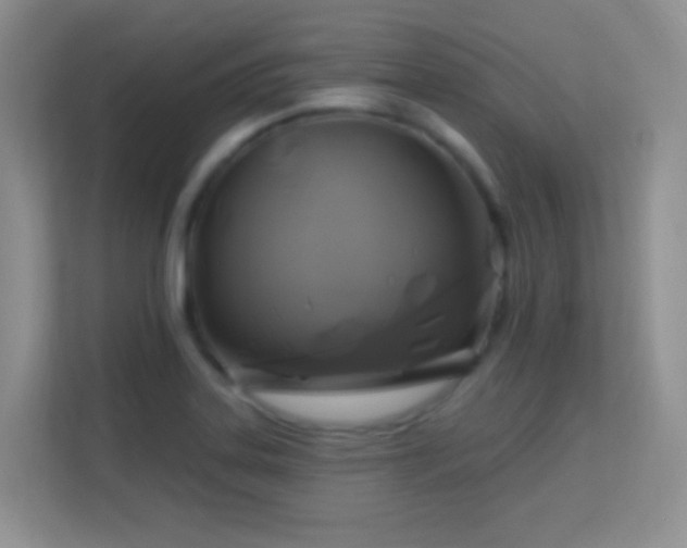 X0000113581323200909251147