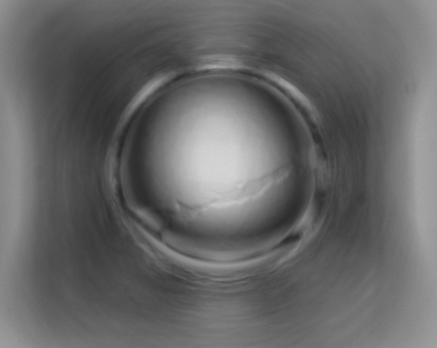 X0000113581325200909251147