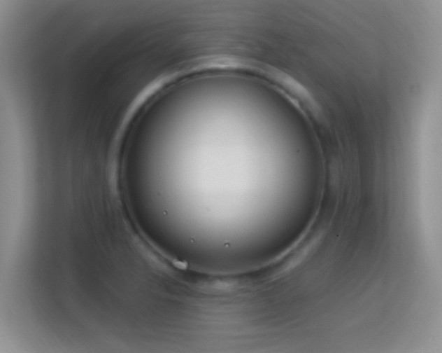 X0000113581326200909251147