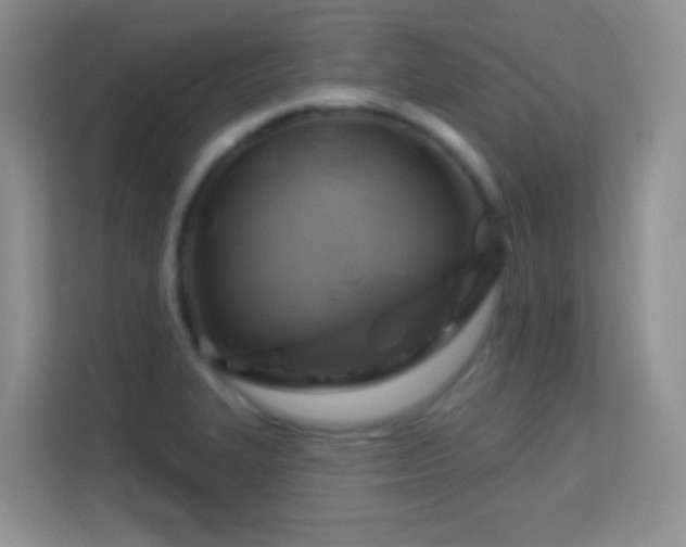 X0000113581327200909251147