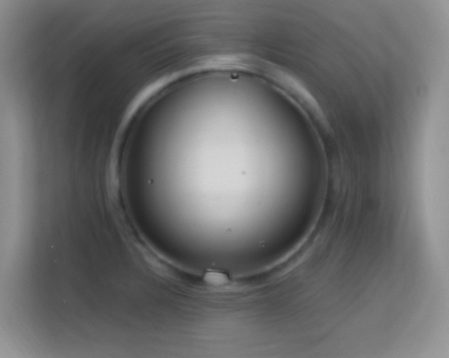 X0000113581328200909251147