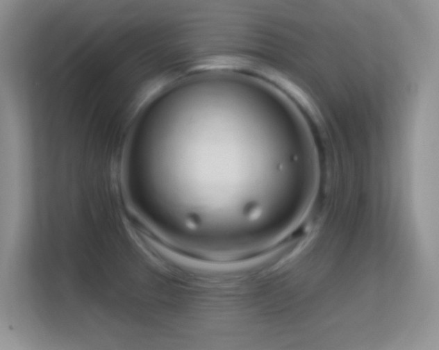 X0000113581329200909251147