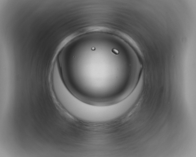 X0000113581330200909251147