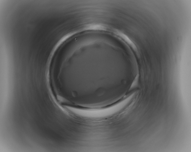 X0000113581331200909251147