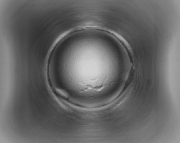 X0000113581333200909251147