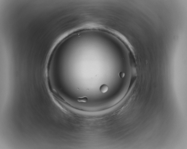 X0000113581335200909251147