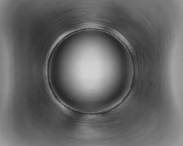 X0000113581339200909251147