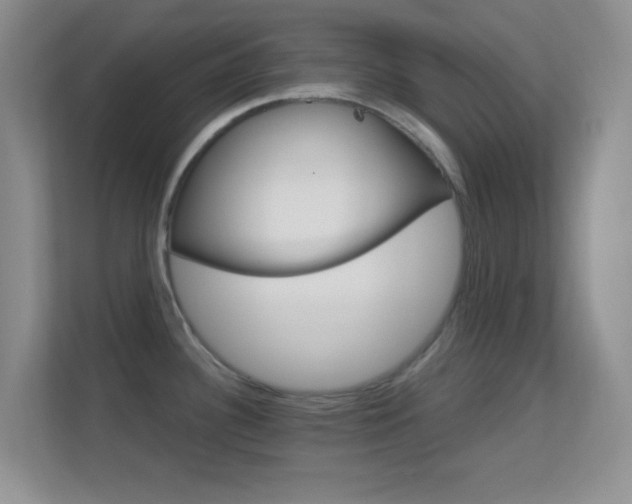 X0000113581340200909251147