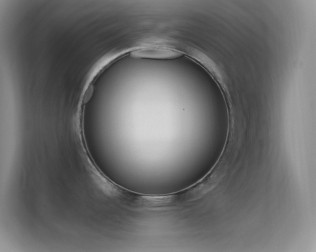 X0000113581344200909251147