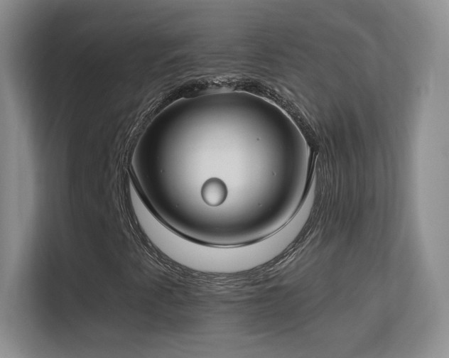 X0000113581345200909251147