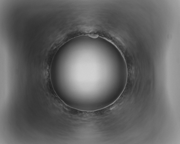 X0000113581349200909251147