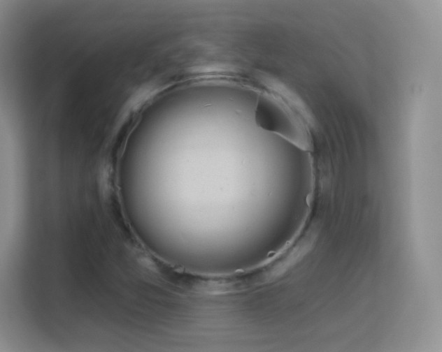 X0000113581357200909251146