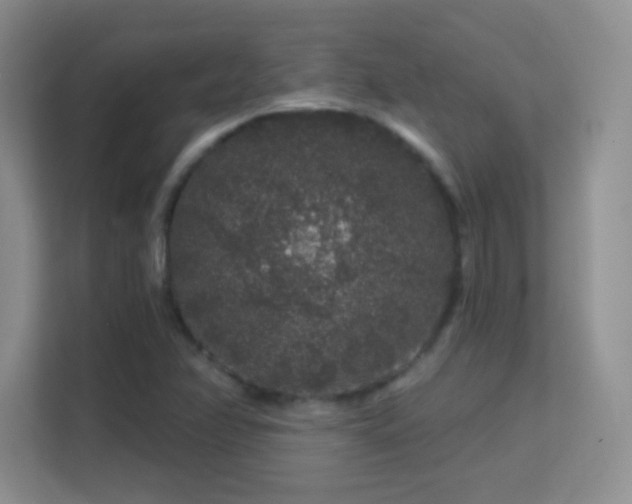 X0000113581358200909251146