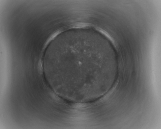 X0000113581362200909251146