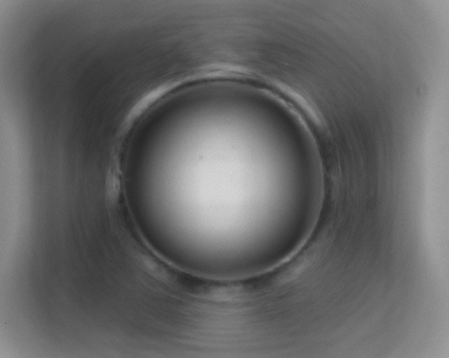 X0000113581363200909251146