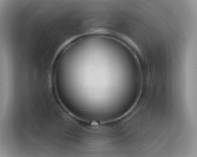 X0000113581364200909251146