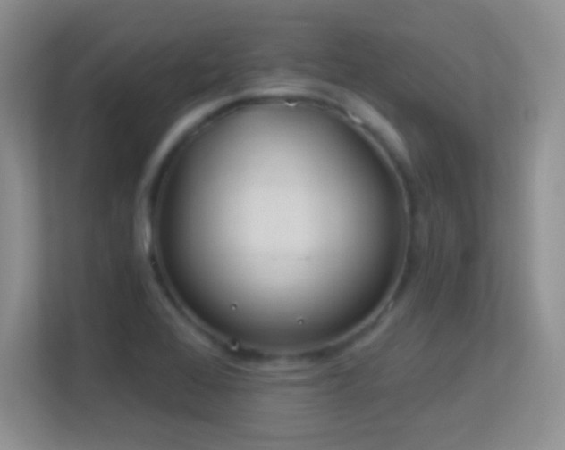 X0000113581368200909251146