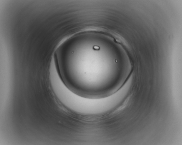 X0000113581369200909251146