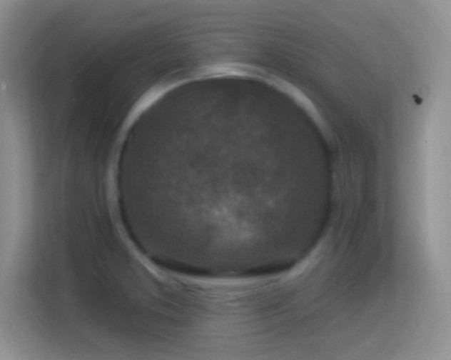 X0000113581373200909251146