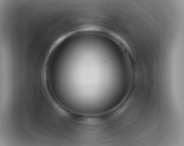 X0000113581375200909251146