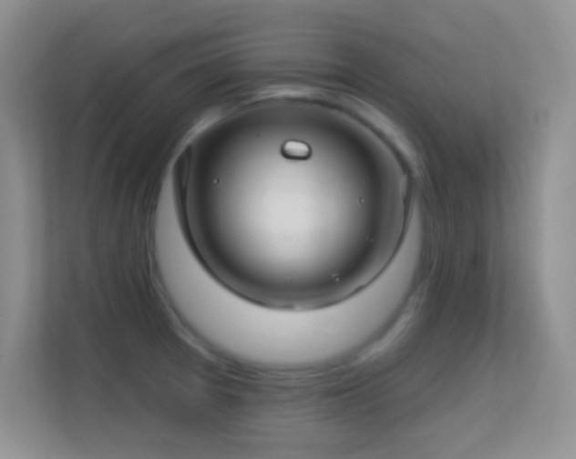 X0000113581377200909251146