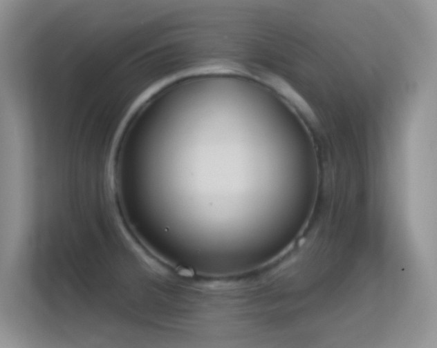 X0000113581380200909251146