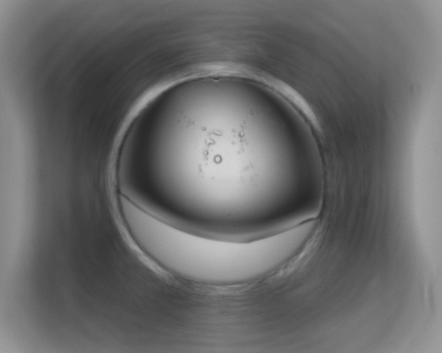 X0000113581381200909251146