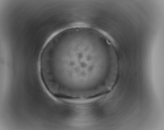 X0000113581383200909251146