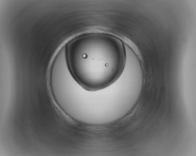 X0000113581384200909251146