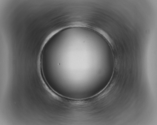 X0000113581387200909251146