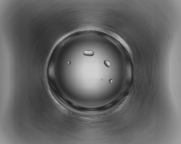 X0000113581388200909251146