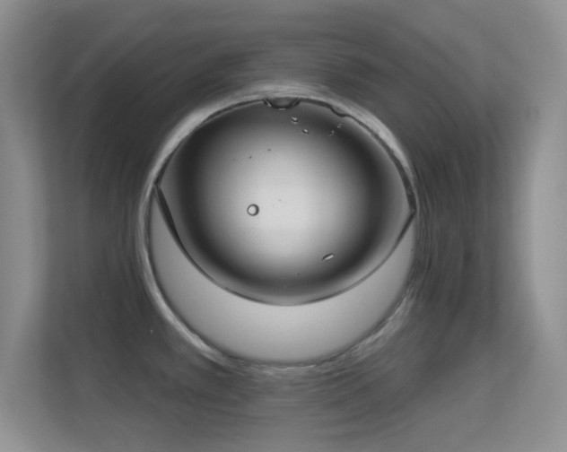 X0000113581389200909251146