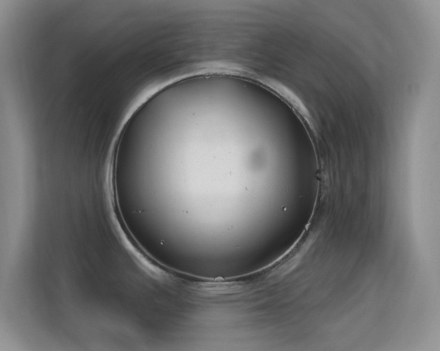 X0000113581391200909251146