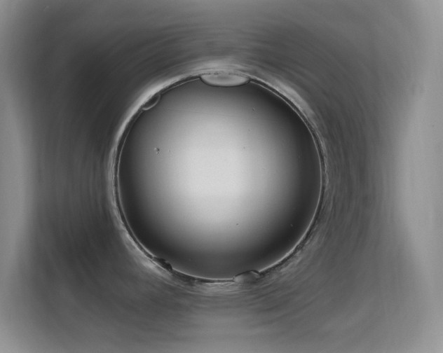 X0000113581392200909251146