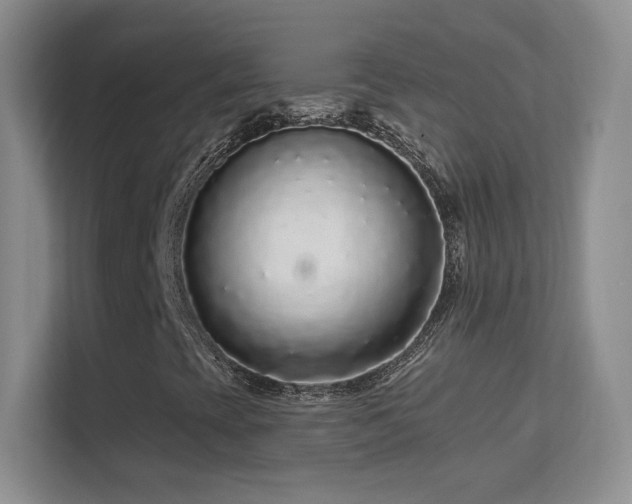 X0000113581393200909251145