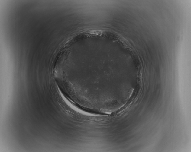 X0000113581394200909251145