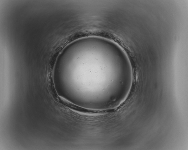 X0000113581397200909251145