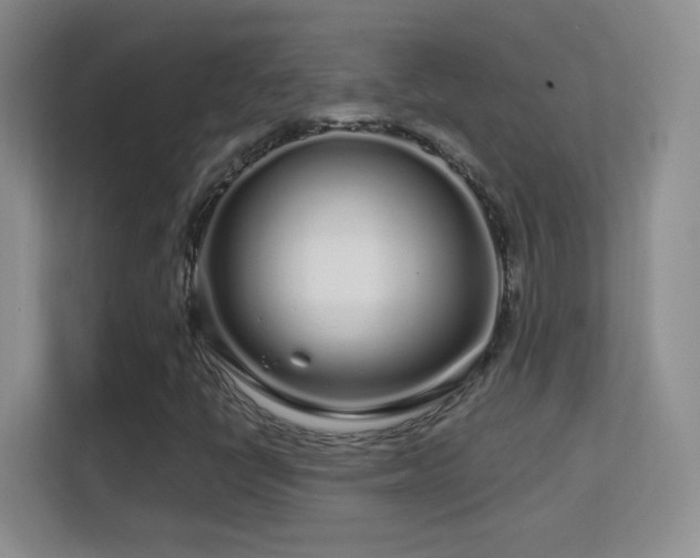 X0000113581398200909251145