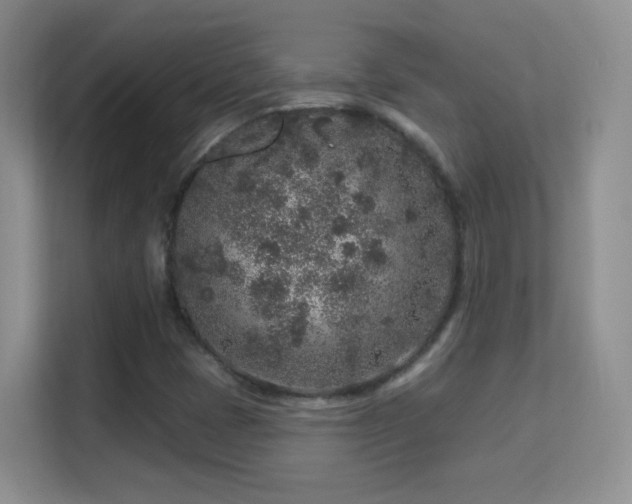 X0000113581401200909251145