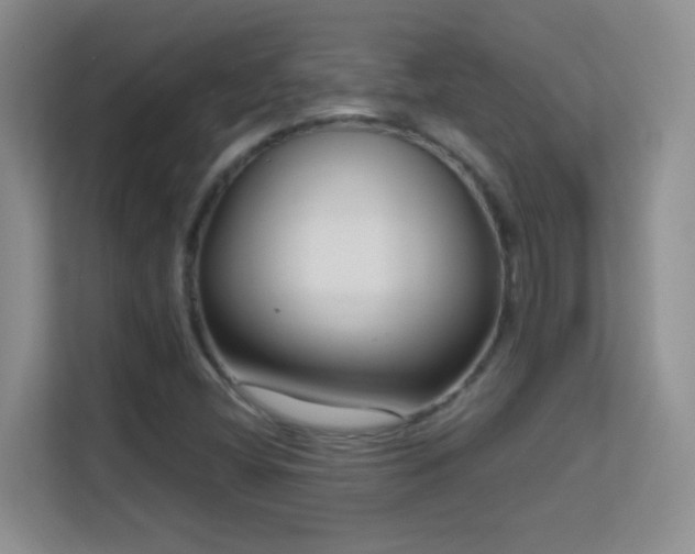 X0000113581404200909251145