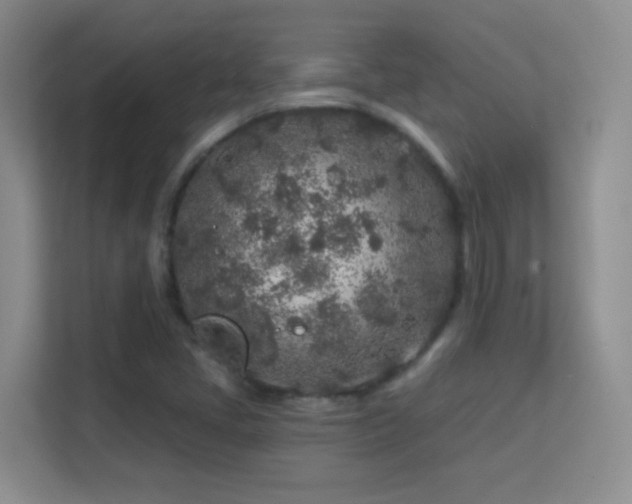 X0000113581405200909251145